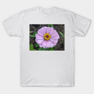 Pink and Yellow Flower Photographic Image T-Shirt